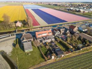 een luchtzicht op een huis en een veld met tulpen bij B&B 'Four Seasons' in Julianadorp