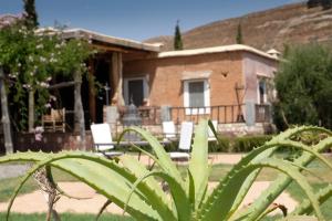 una casa con sillas y una planta frente a ella en Le Douar Berbere en Ourika