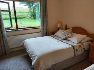 a bedroom with a bed and a large window at Valley Lodge Room Only Guest House in Claremorris