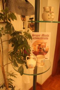 a glass shelf with cups and a plant on it at B&B Stupor Mundi in Altamura