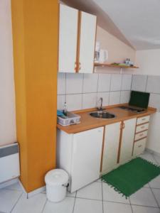 A kitchen or kitchenette at Apartman Dino