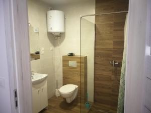 a bathroom with a toilet and a glass shower at Apartamenty Pasternik 7 SUCHEDNIÓW in Suchedniów