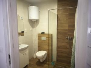 un bagno con wc e doccia in vetro di Apartamenty Pasternik 7 SUCHEDNIÓW a Suchedniów Altre 23 foto