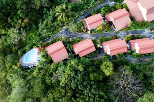 an overhead view of houses in a forest at Anoli Lodges in Sainte-Anne