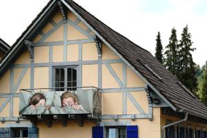 Hosté ubytování Hotel Waldblick