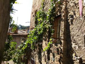 um edifício de pedra coberto de hera com uma janela em Ai Barutoli em Perugia