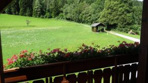 Zahrada ubytování Ferienhaus Enzi