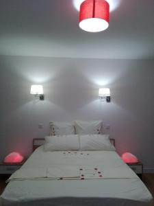 1 dormitorio con 1 cama con 2 luces en la pared en L'Auberge Chez Pascal en Saint-Julien-de-Cassagnas