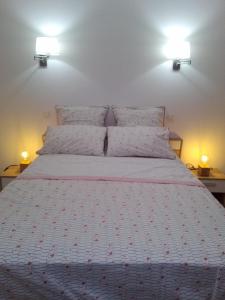 1 dormitorio con 1 cama grande y 2 luces en L'Auberge Chez Pascal en Saint-Julien-de-Cassagnas