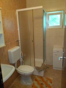 a bathroom with a toilet and a shower and a sink at Apartmani Darko in Kornić