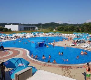 a group of people swimming in a large pool at Apartmani Centar Banja Vrujci in Mionica