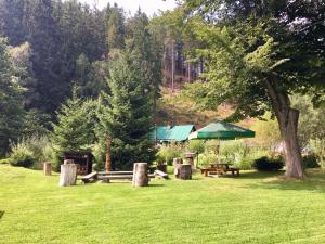 Zahrada ubytování Pension Dita - Adršpach