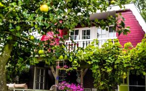 Zahrada ubytování Bed & Breakfast "Bij Lucie"