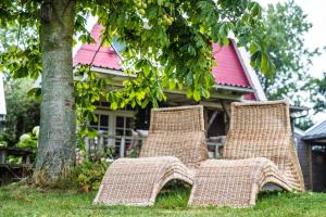 Zahrada ubytování Bed & Breakfast "Bij Lucie"
