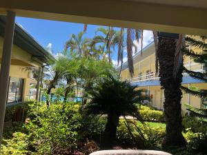 - une vue sur un bâtiment avec des palmiers et des plantes dans l'établissement Arvilla Motel, à St. Pete Beach