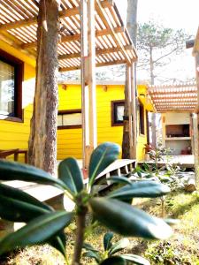 a yellow house with a wooden roof and trees at DiaBro's in Punta Del Diablo