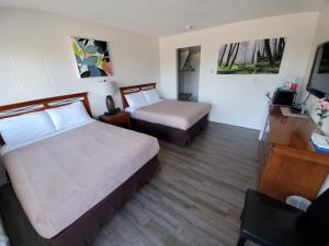 Gallery image of Value Lodge Motel in Nanaimo