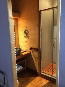 ein Bad mit einer Dusche und einem Waschbecken in der Unterkunft Tilleuls et Bambous in Saint-Sauveur-dʼAunis
