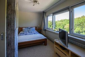 a bedroom with a bed and a tv and windows at Bed and Breakfast Ineke en John in Hoofddorp