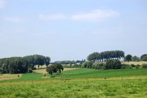 a green field with trees in the distance at Beautiful rooms at countryside Brussels in Halle