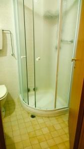 a bathroom with a shower and a toilet at Hotel Caesar Bed and Breakfast in Milano Marittima