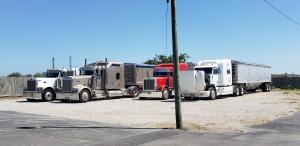 eine Gruppe von LKWs, die auf einem Parkplatz geparkt sind in der Unterkunft Executive Inn in Corpus Christi