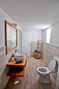a bathroom with a toilet and a sink and a mirror at Vila Loni in Zgornja Kungota