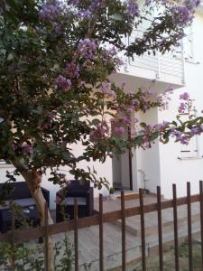 a house with a fence and a tree with purple flowers at The judas trees in Mestre