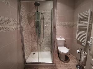 ein Bad mit einer Dusche und einem WC in der Unterkunft Presbytere in Sauville