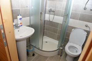 un bagno con doccia, WC e lavandino di Guest house Green Garden a Mojkovac Altre 35 foto