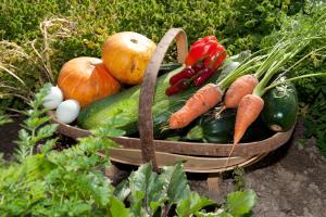 una cesta llena de verduras en un jardín en Hereweka Garden Retreat, en Dunedin