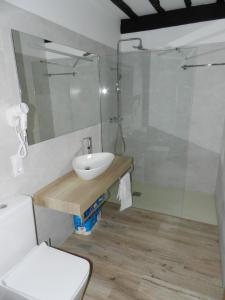 uma casa de banho com um lavatório, um chuveiro e um WC. em Casona 1828 em Cabuerniga