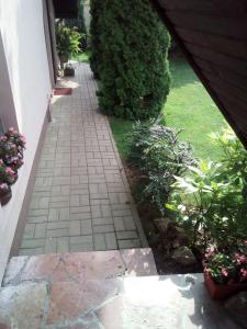 Zahrada ubytování Villa Nirvana