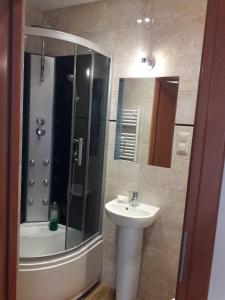 a bathroom with a sink and a shower and a sink at Dom nad Jeziorem in Mucharz