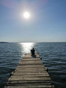 a person sitting on a dock over the water at Appartamento "IL GAMBERO" in Magione