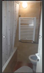 ein Bad mit einem WC und einer Dusche mit einem Fenster in der Unterkunft Apartman Luka in Sokobanja