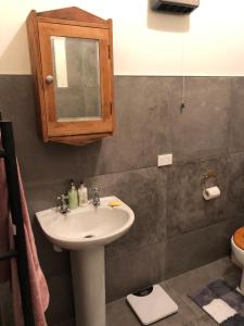 a bathroom with a sink and a mirror at Araluen Cottage in Waihi
