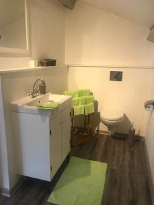 a bathroom with a sink and a toilet at Maison des Ingénieurs in Molières-sur-Cèze
