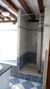 uma casa de banho com chuveiro e azulejos azuis em La Maison de Ners em Pertheville-Ners