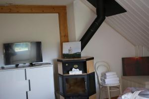 En tv och/eller ett underhållningssystem på Landgasthof Farnsburg