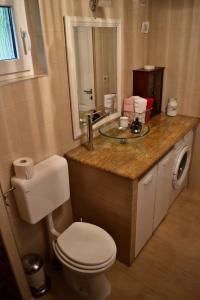 a bathroom with a white toilet and a sink at Village House Flowerside in Gospić