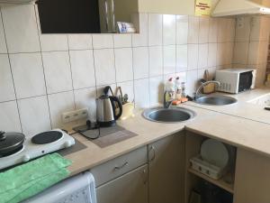 a small kitchen with two sinks and a microwave at Kotsarskaya street 19 in Kharkiv