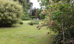 een tuin met roze bloemen in het gras bij Beech House in Greystoke