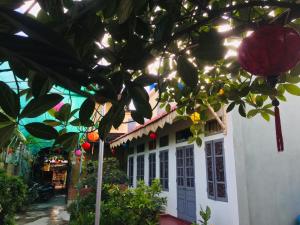 een wit huis met een boom ervoor bij Hang Mua Happiness Homestay in Ninh Binh