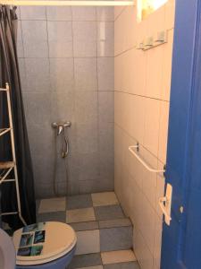 uma casa de banho com um chuveiro, um WC e um lavatório. em Chambres les pieds dans l’eau résidence Cypria em Les Trois-Îlets