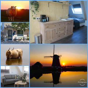 un collage de fotos con una vaca y una puesta de sol en B&B Zonnedael en Oosterend