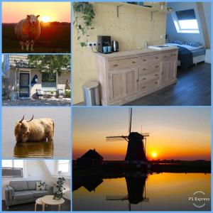 a collage of photos with a cow and a sunset at B&B Zonnedael in Oosterend