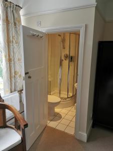 a bathroom with a shower and a toilet at Hatsue Guest House in Camberley