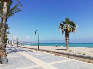 een strand met palmbomen en de oceaan bij Villa vacaciones Benicassim in Benicàssim