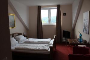 1 dormitorio con 2 camas y ventana en Hotel Gardenia, en Reiskirchen